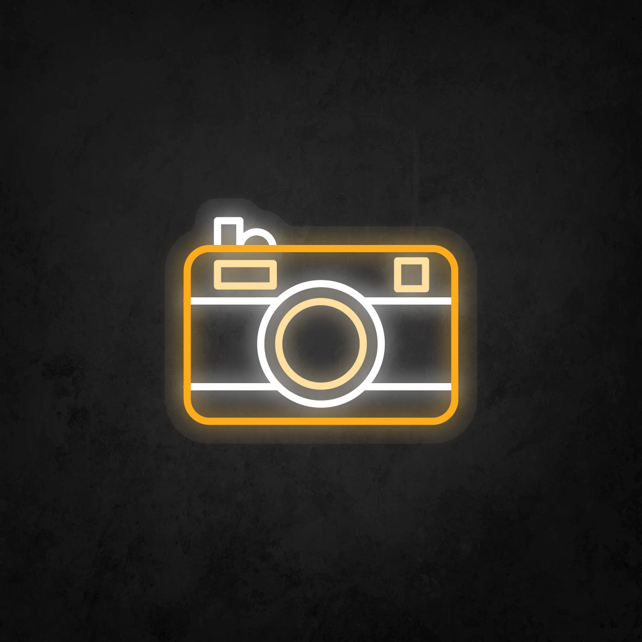 LED Neon Sign - Camera