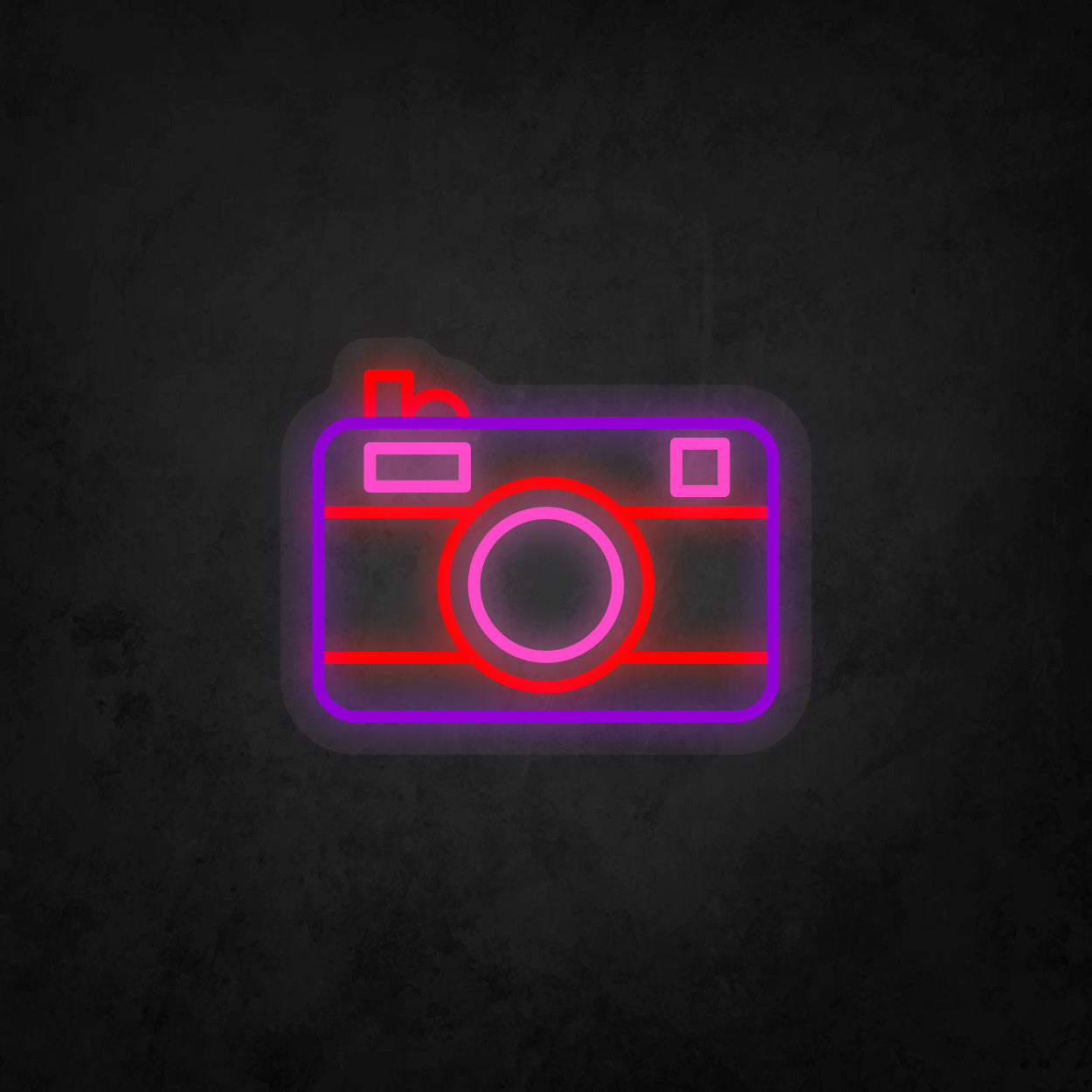 LED Neon Sign - Camera