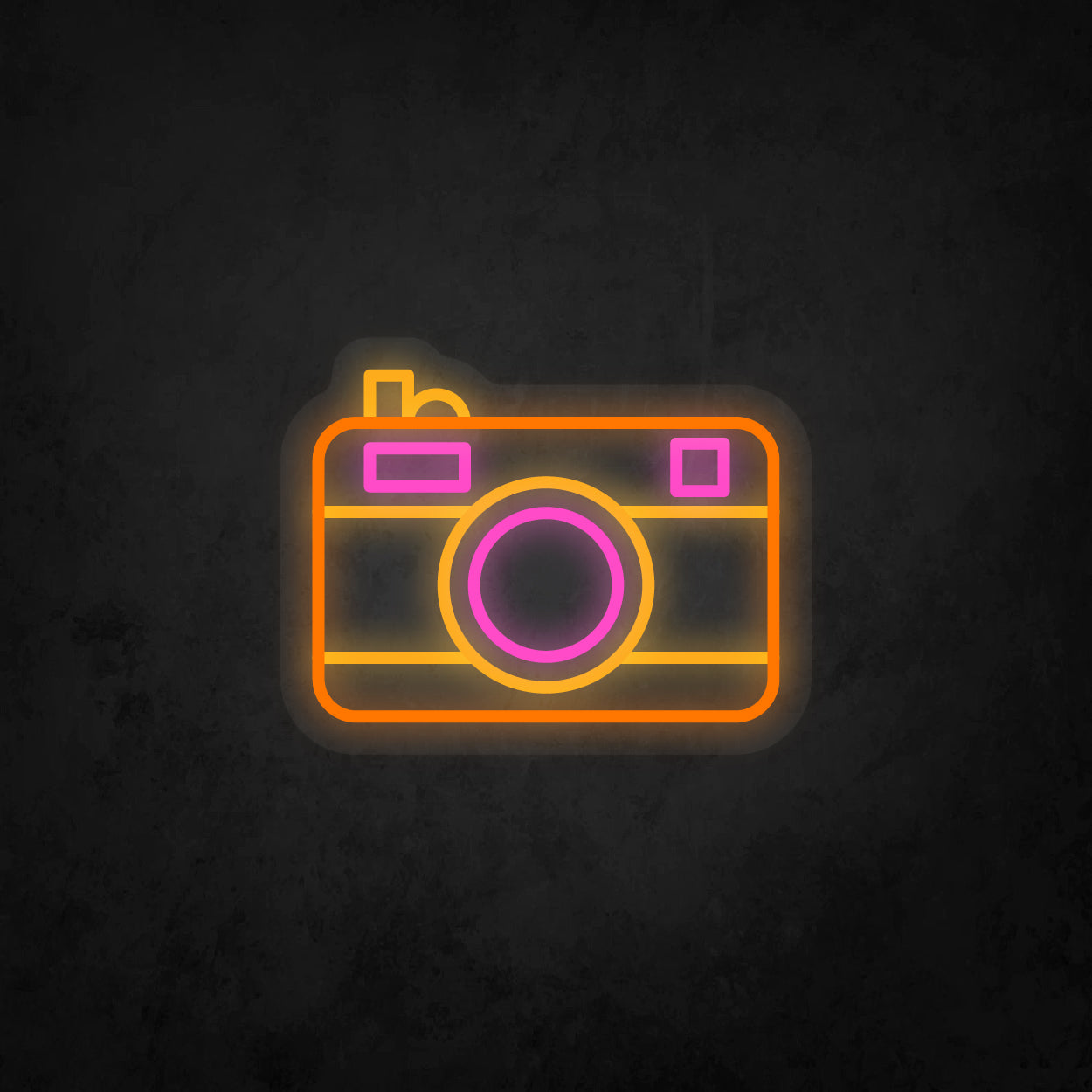 LED Neon Sign - Camera