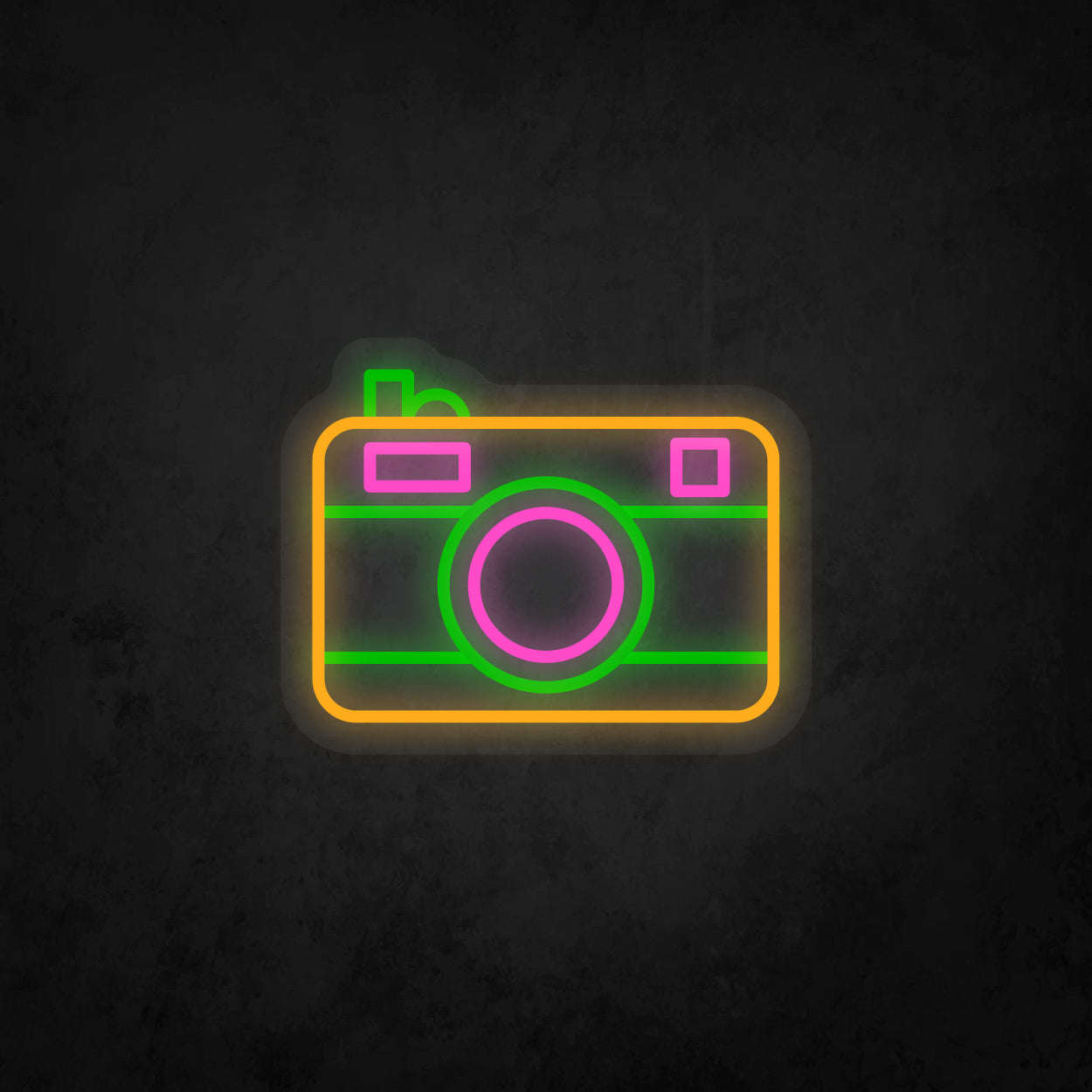 LED Neon Sign - Camera