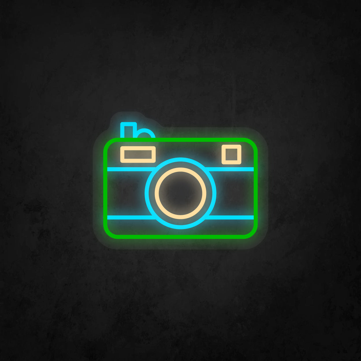 LED Neon Sign - Camera