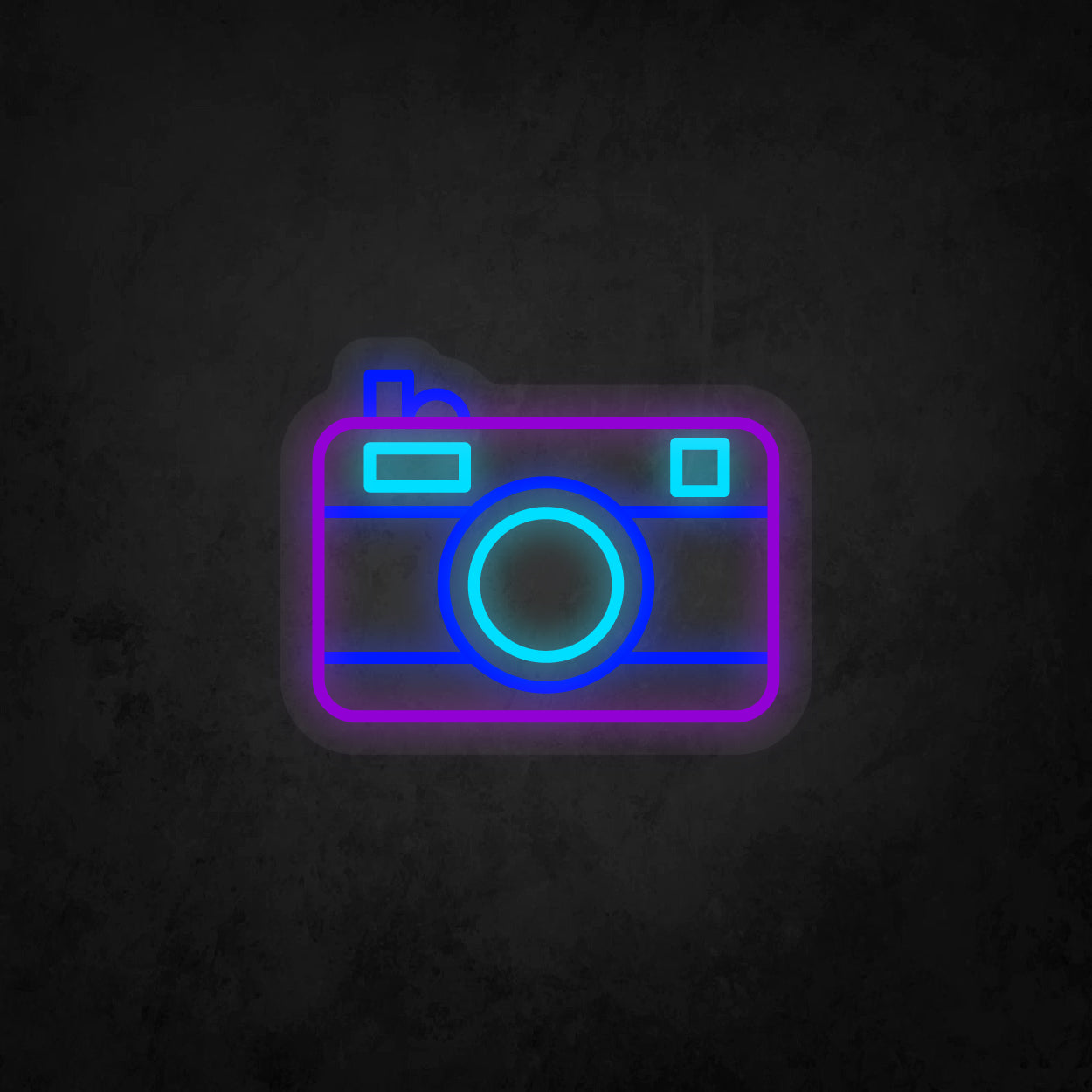 LED Neon Sign - Camera