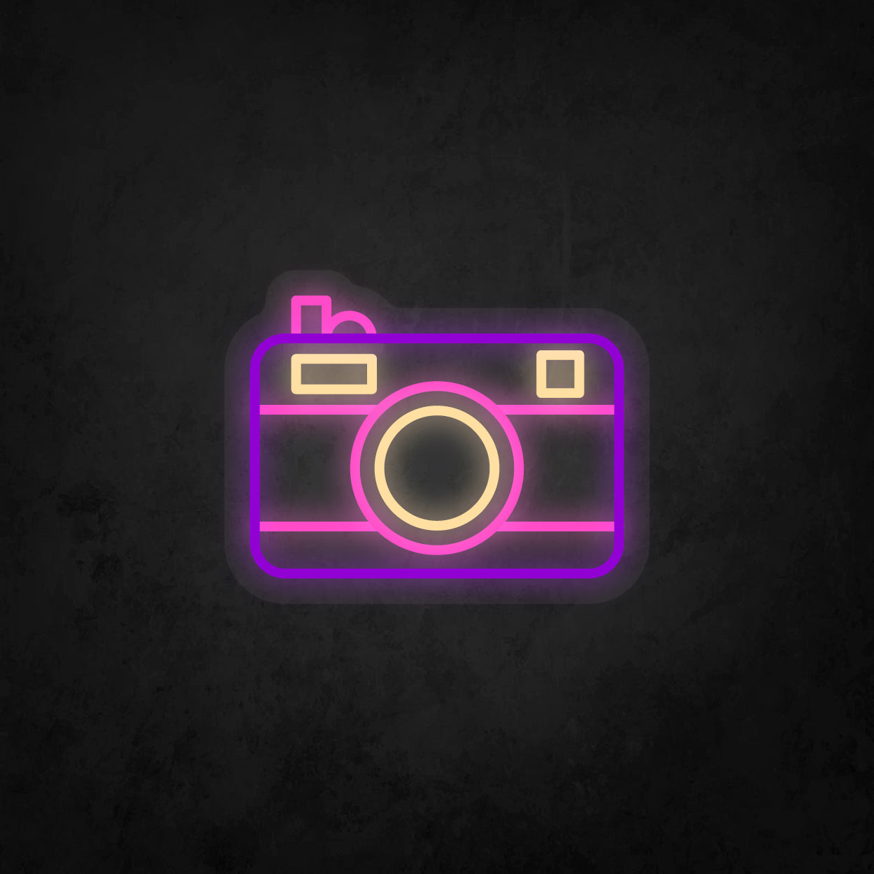 LED Neon Sign - Camera