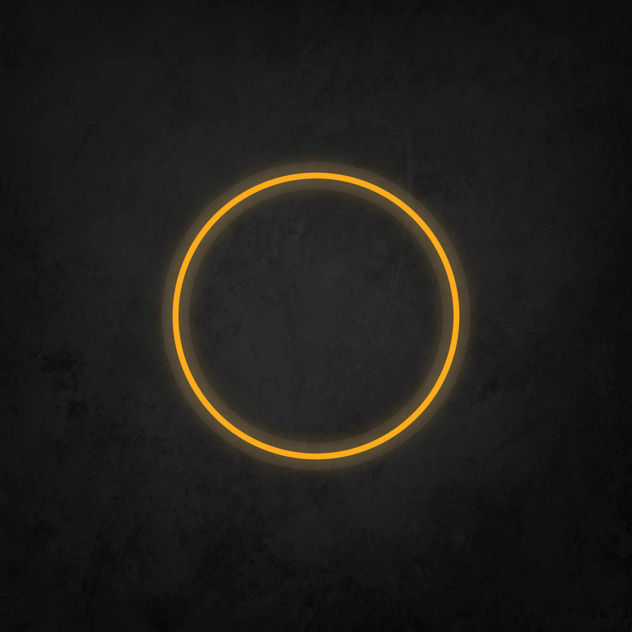 LED Neon Sign - Round Frame 16x16