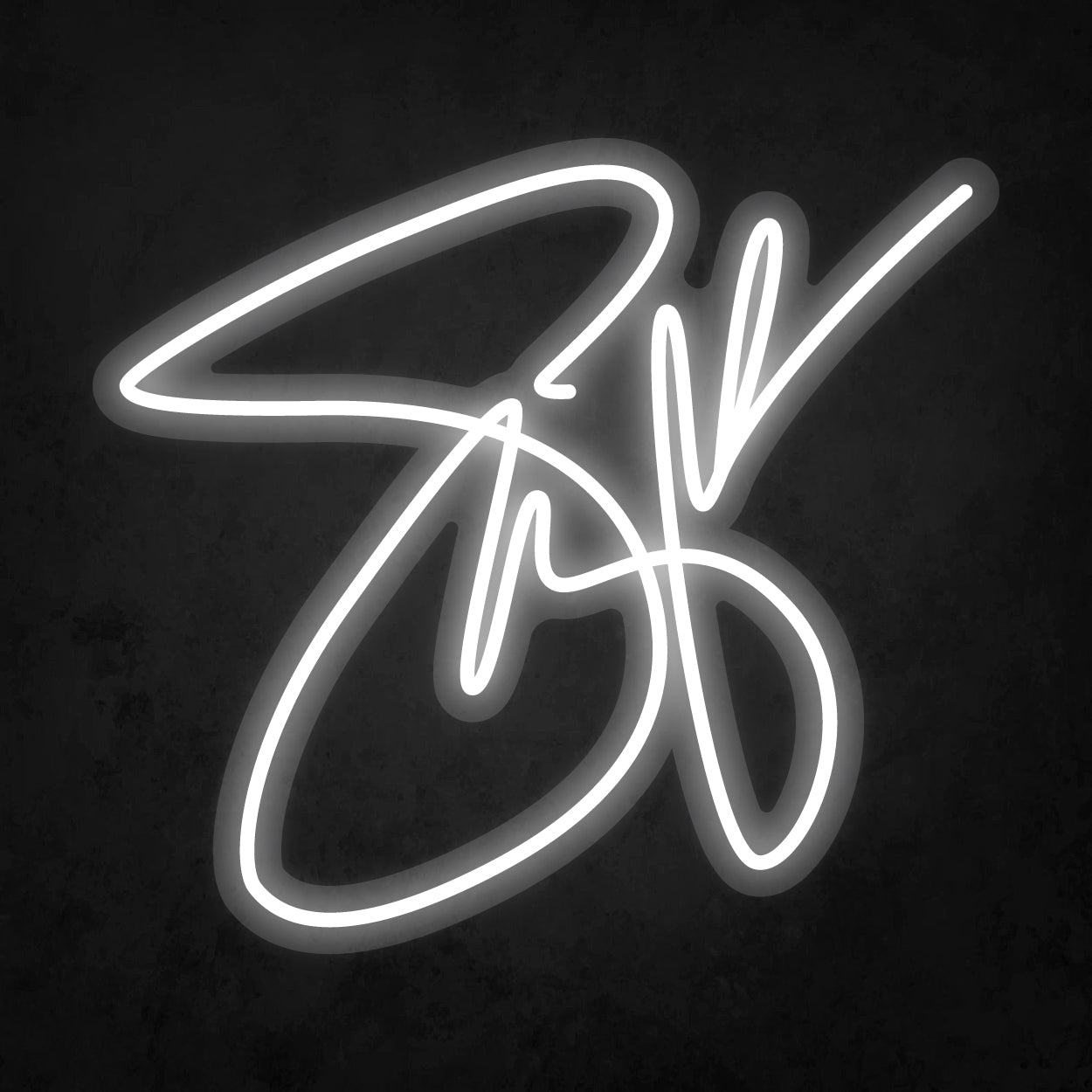 LED Neon Sign - Selena Gomez signature