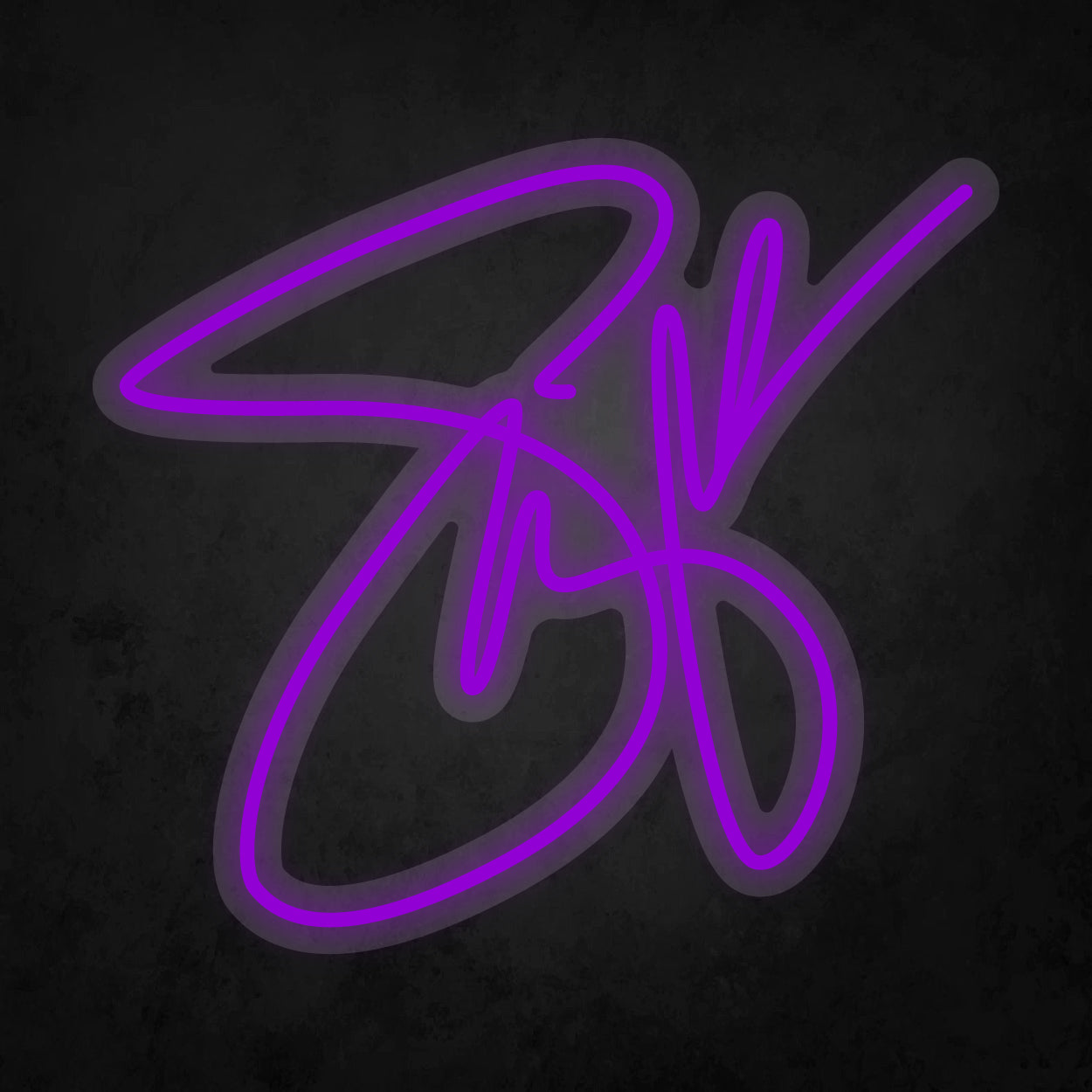 LED Neon Sign - Selena Gomez signature