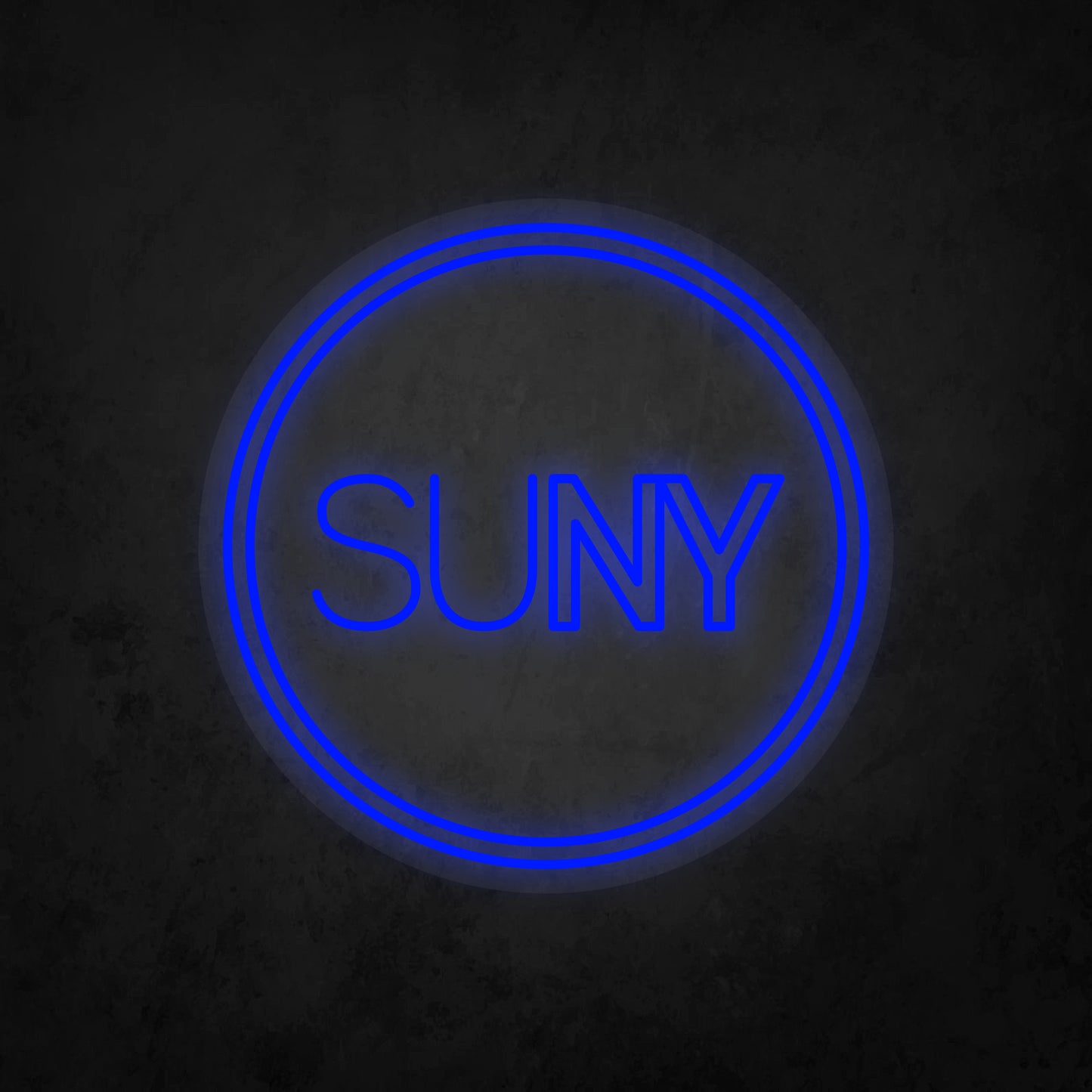 LED Neon Sign - The State University of New York