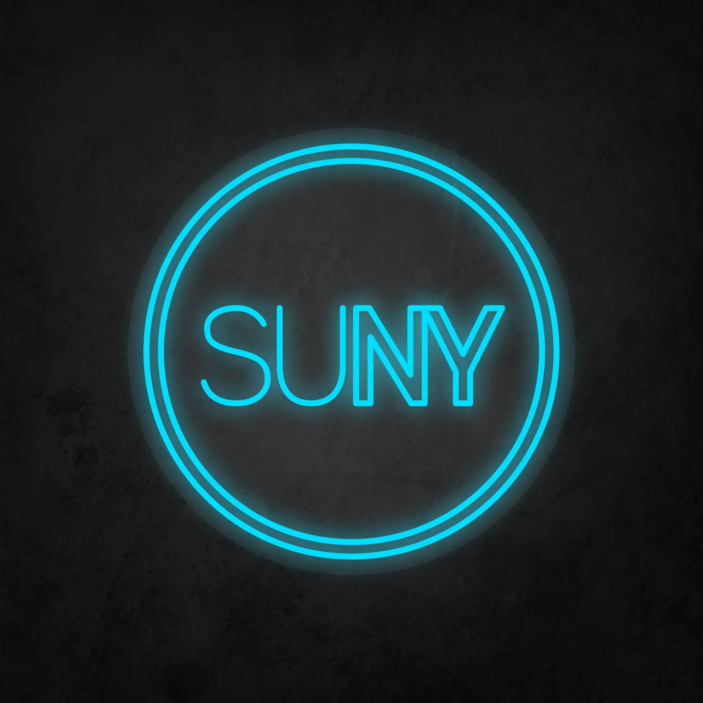 LED Neon Sign - The State University of New York