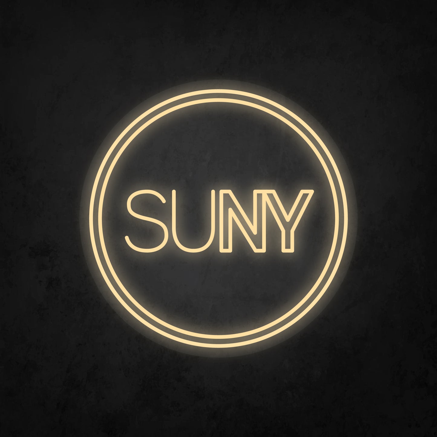 LED Neon Sign - The State University of New York