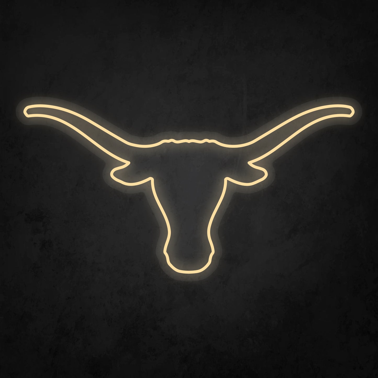 LED Neon Sign - The University of Texas