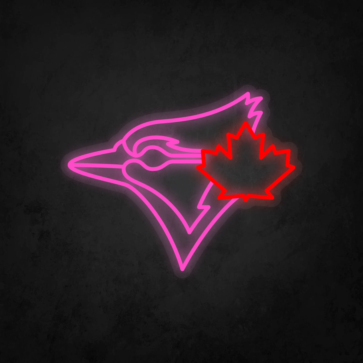LED Neon Sign - Toronto Blue Jays - Medium