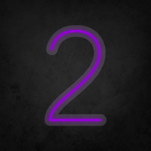 LED Neon Sign - Number - 2 Small