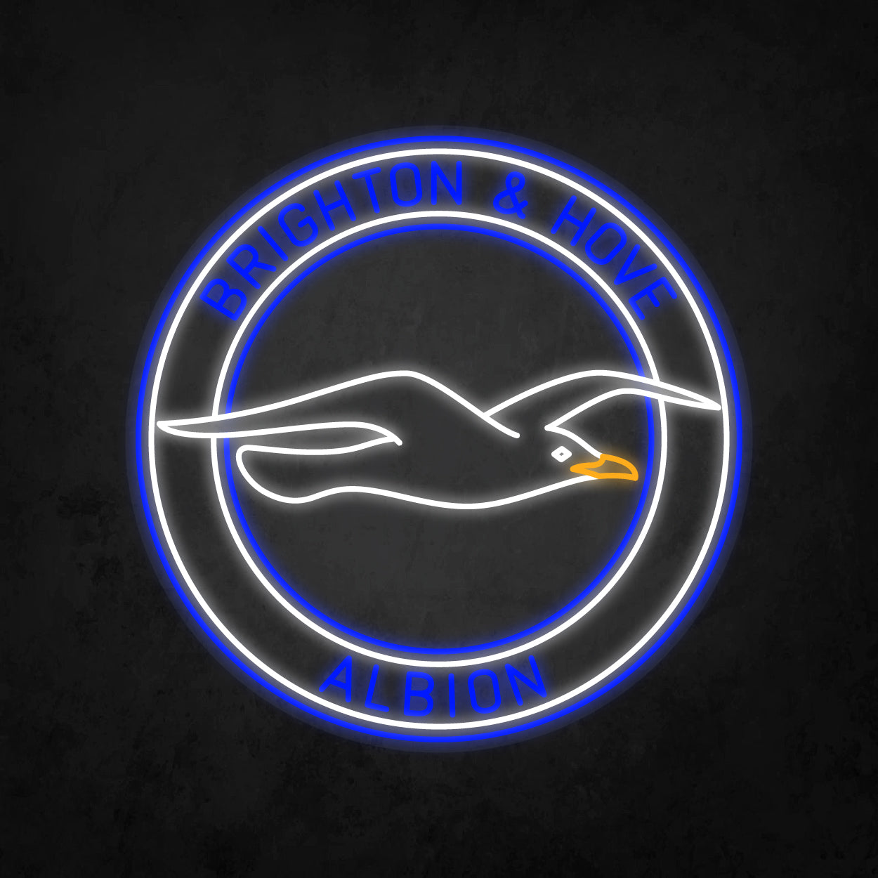 LED Neon Sign - Brighton & Hove Albion FC X Large