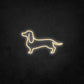 LED Neon Sign - Dachshund