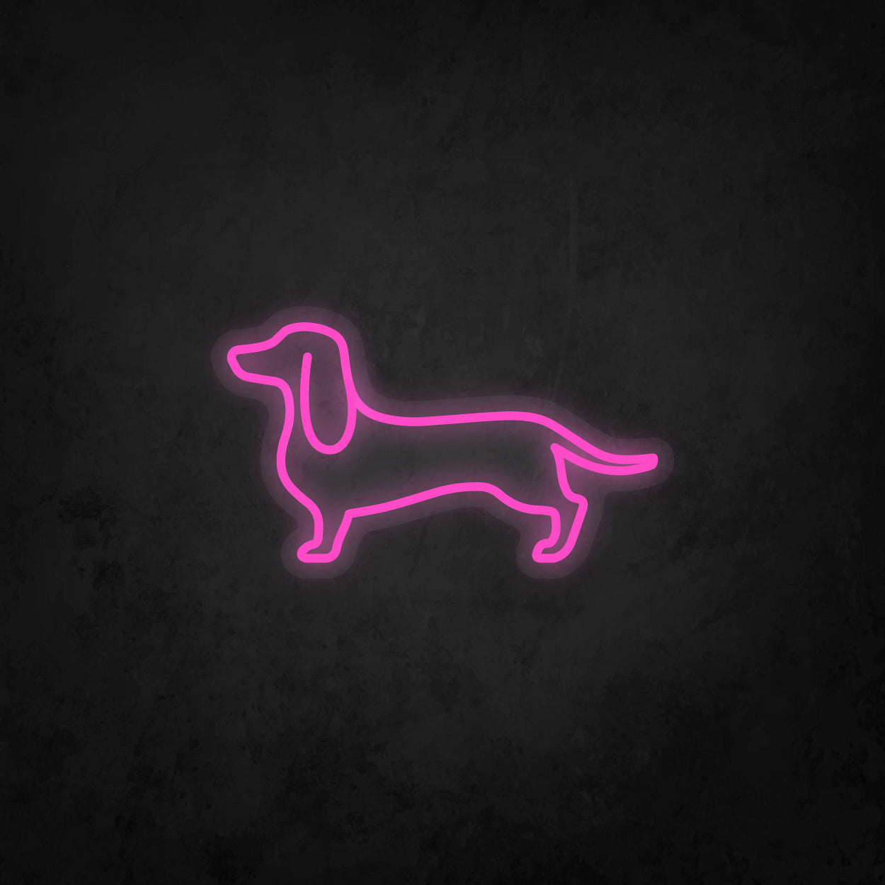 LED Neon Sign - Dachshund