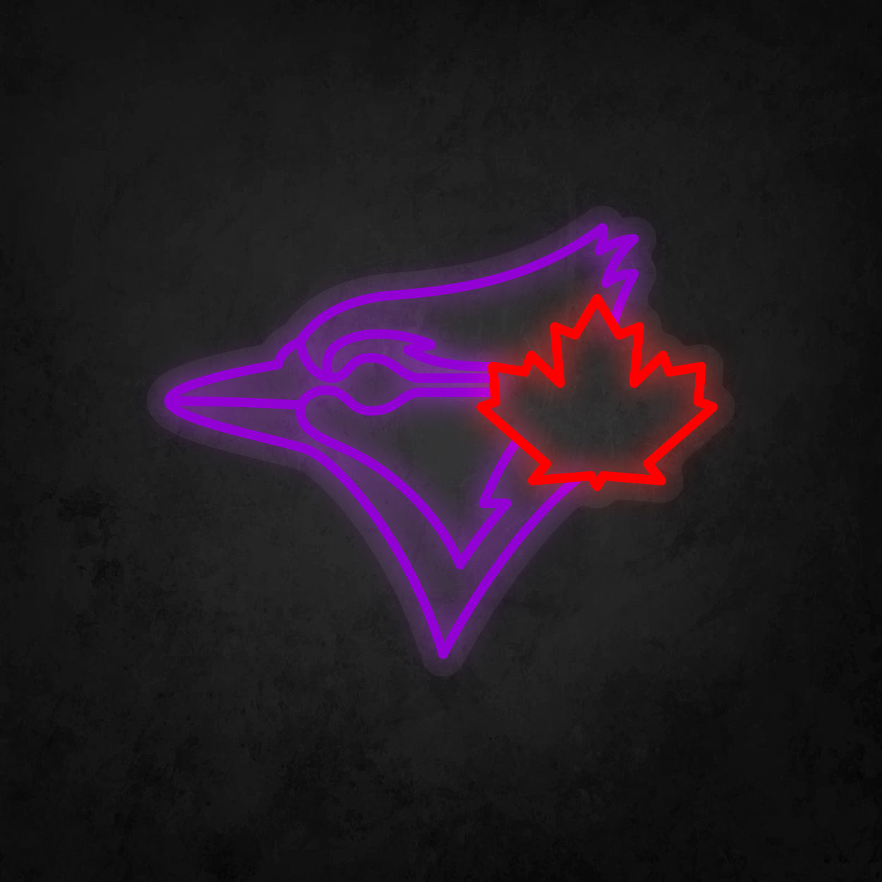 LED Neon Sign - Toronto Blue Jays - Medium